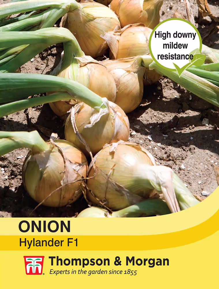 Image of seed packet for Onions