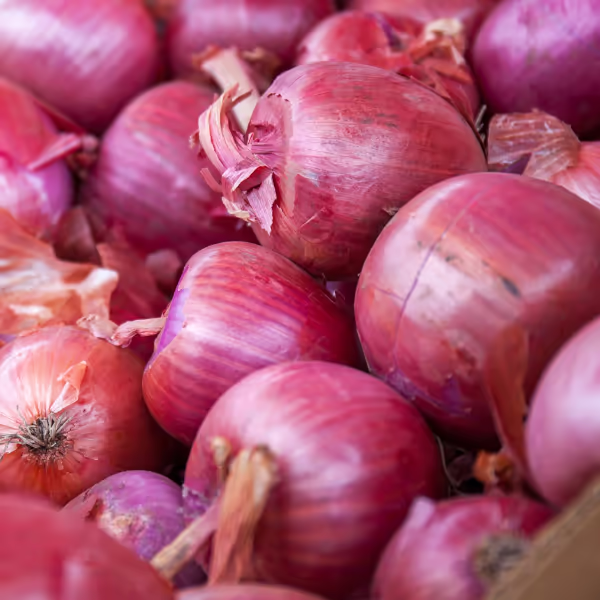 Red Onions
